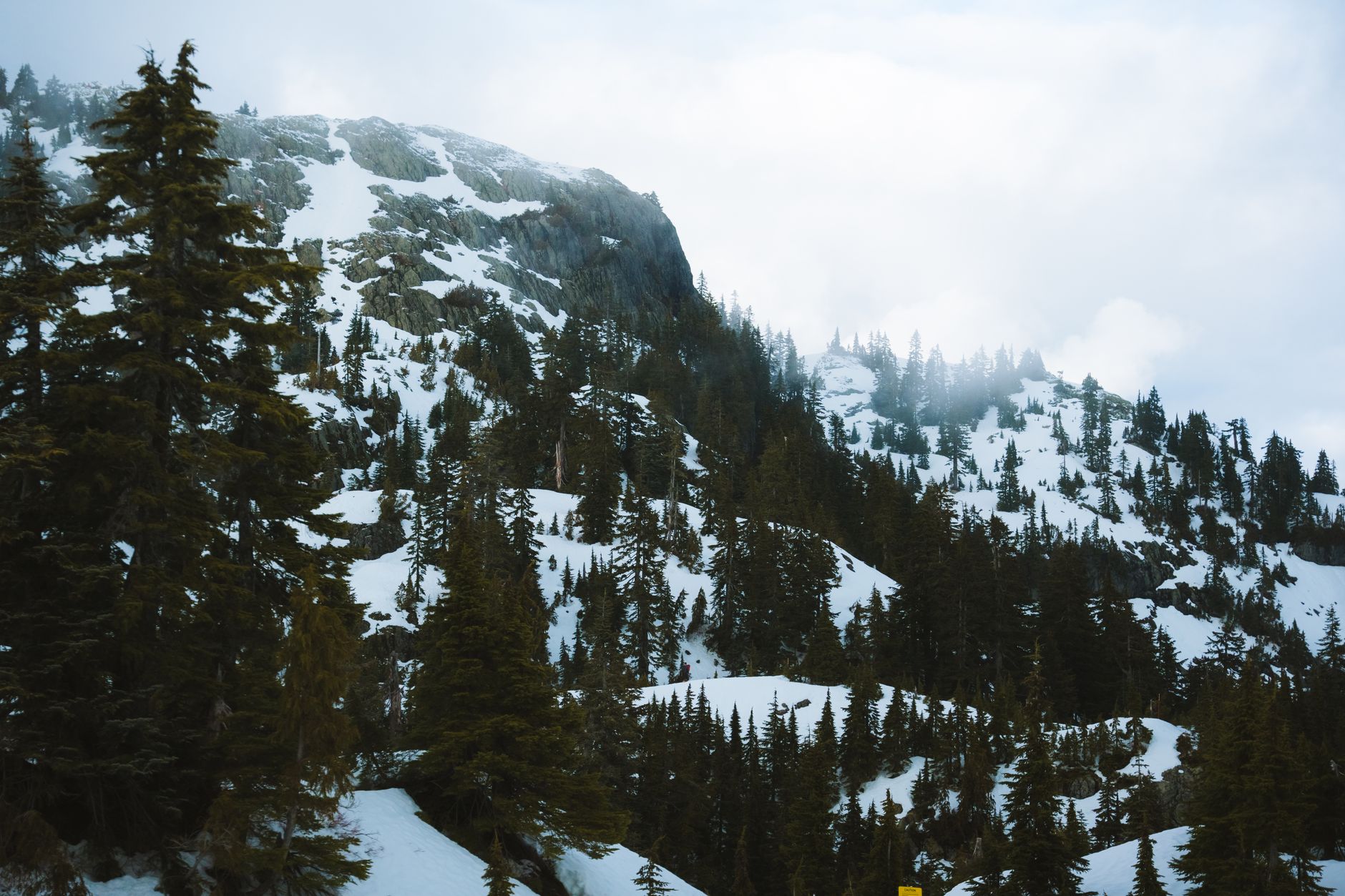 Wild nature landscape